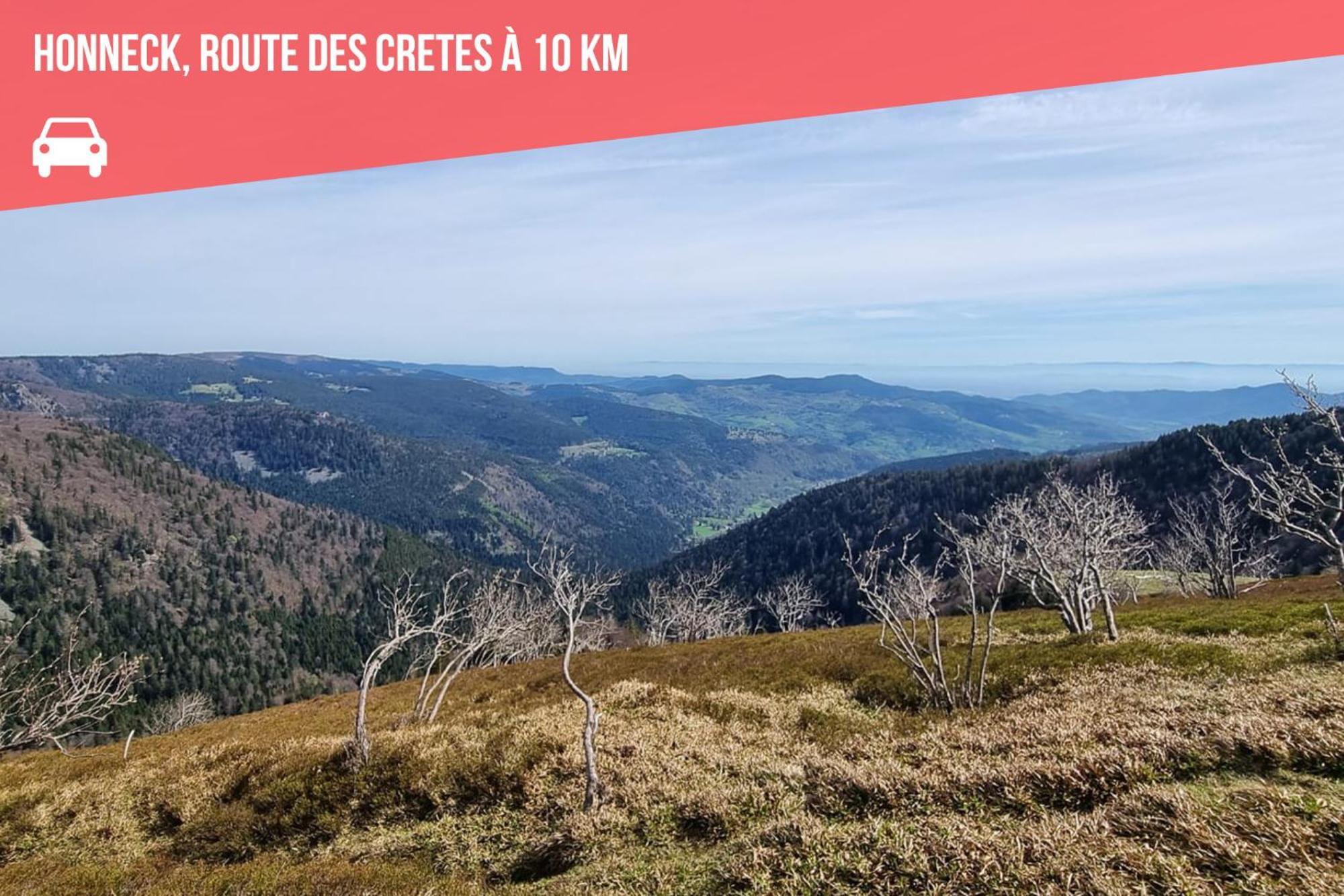 Chalet O Fil De Lo - Wifi, Bbq, Parking Xonrupt-Longemer Bagian luar foto